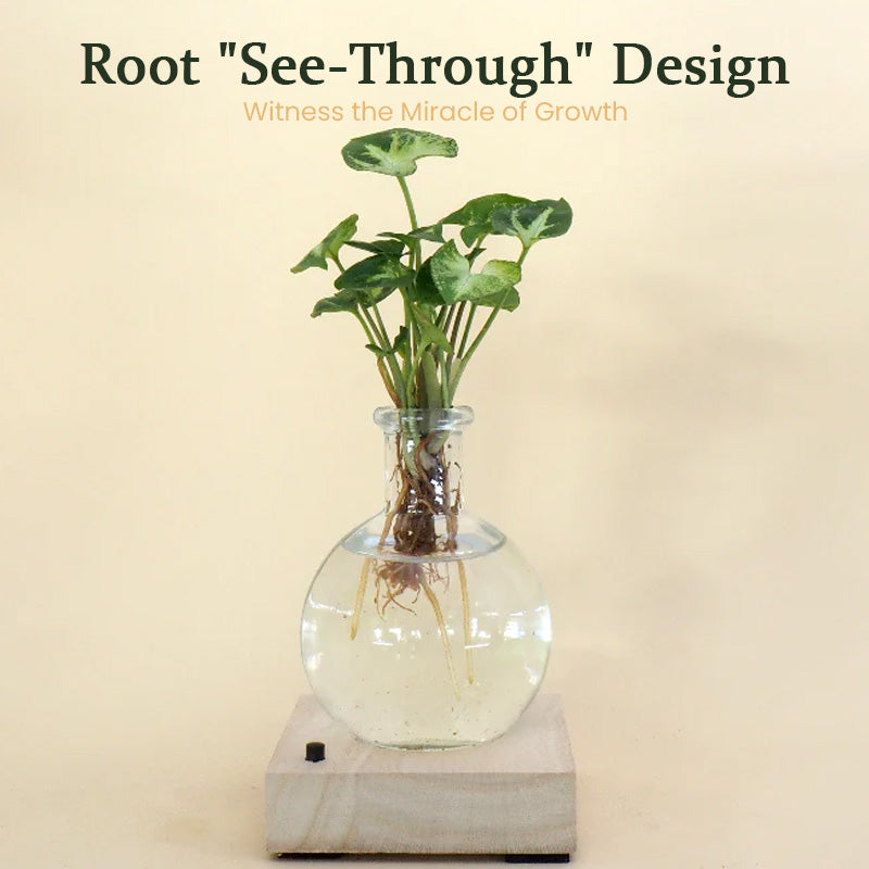 LED Hydroponic Plant Vase(The set includes 1 LED base + 1 vase)