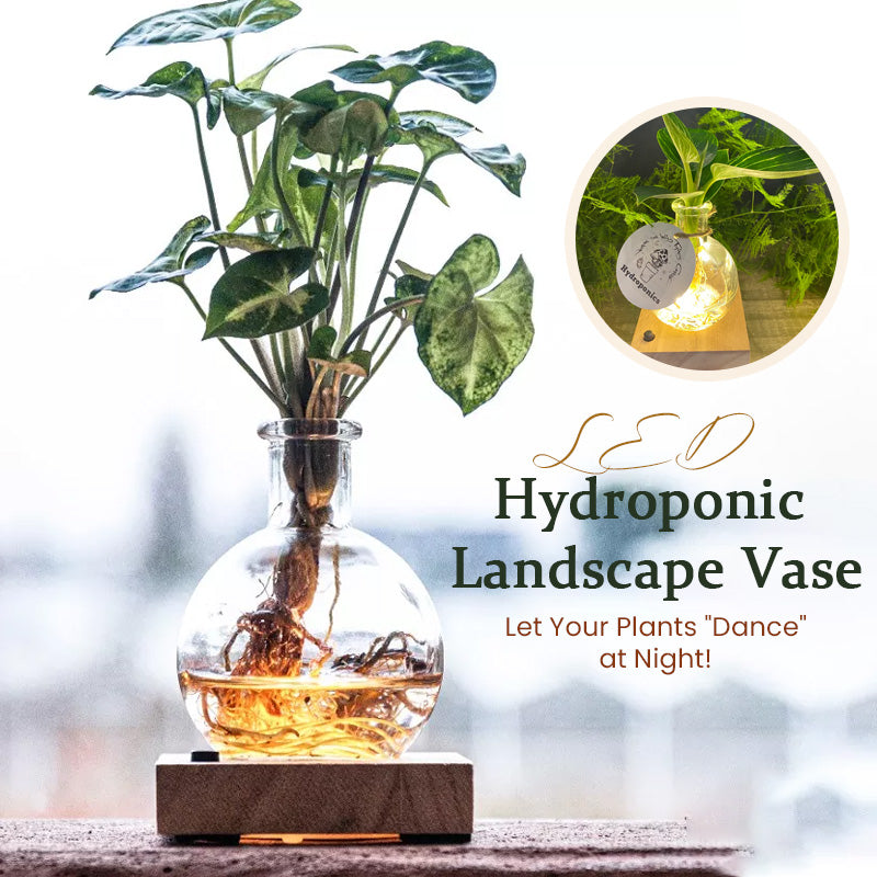 LED Hydroponic Plant Vase（The set includes 1 LED base + 1 vase）